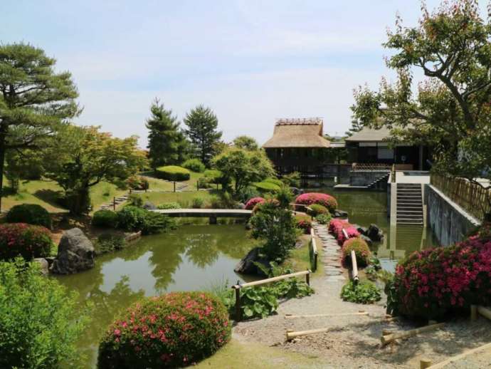 静岡県島田市にある「ふじのくに茶の都ミュージアム」の日本庭園