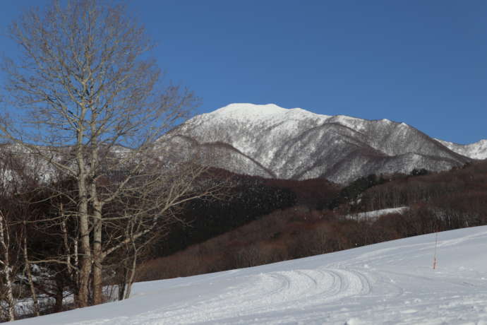 天童市にある天童高原のスキー場