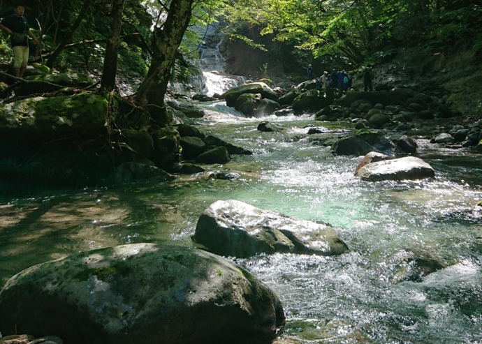 天栄村を流れる川のようす