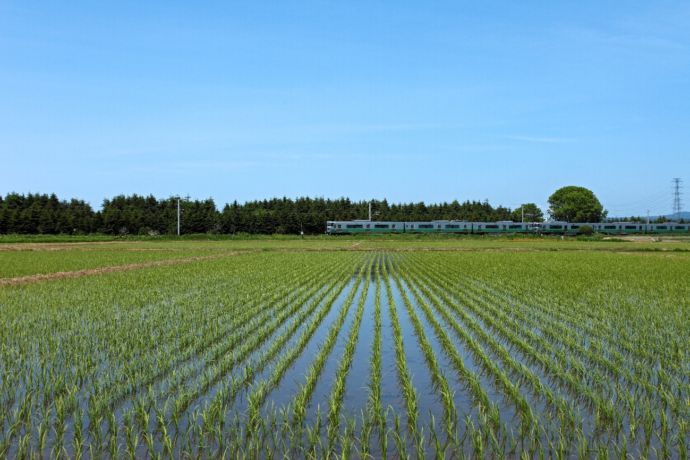 北海道当別町の田園風景