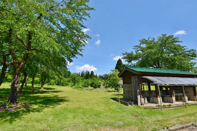 福山峠のふるさと広場のオートサイトエリア