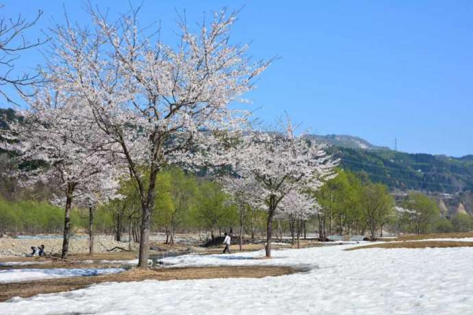 新潟県十日町市にある「清津川フレッシュパーク」