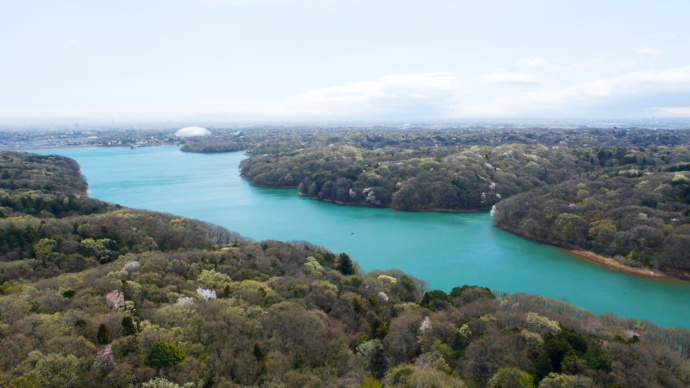 所沢市にある狭山湖