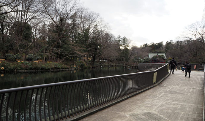 水生物園