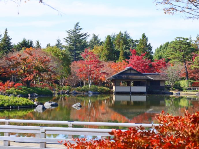 立川市にある国営昭和記念公園の風景