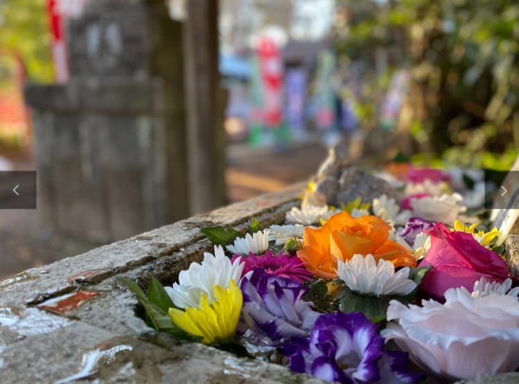 千葉県富里市にある富里香取神社の境内周辺の様子