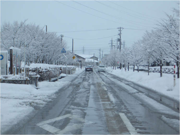 道路は除雪されます