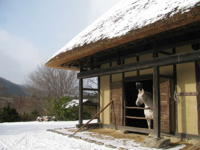 冬の遠野ふるさと村