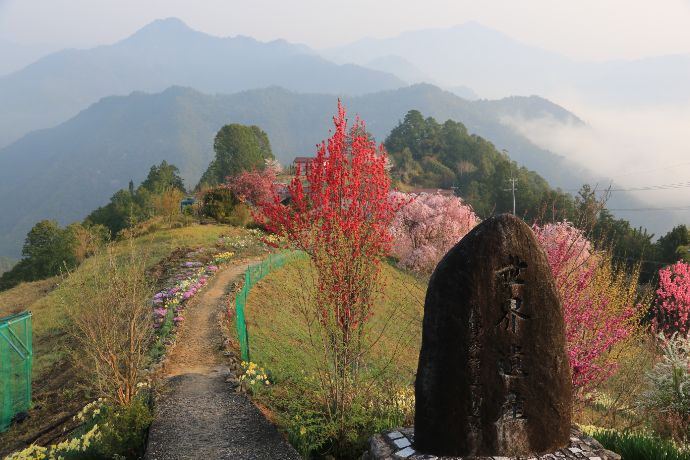 十津川村の果無集落