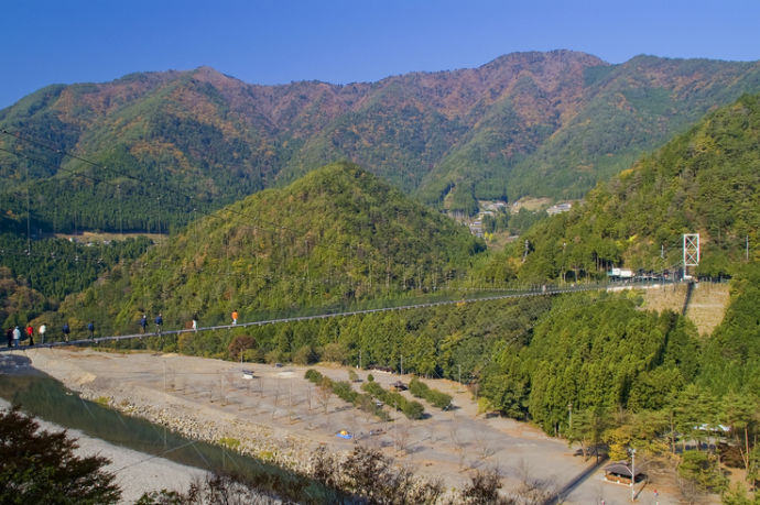 十津川村の谷瀬の吊り橋