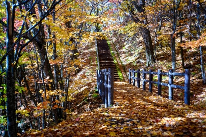 秋の「当麻山遊歩道」