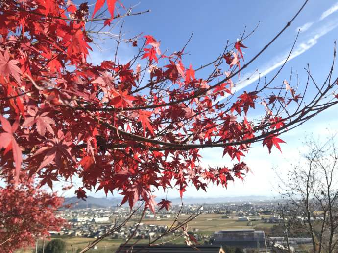 霞間ヶ渓の紅葉の様子