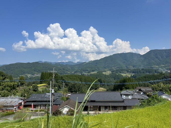 美里町の夏風景