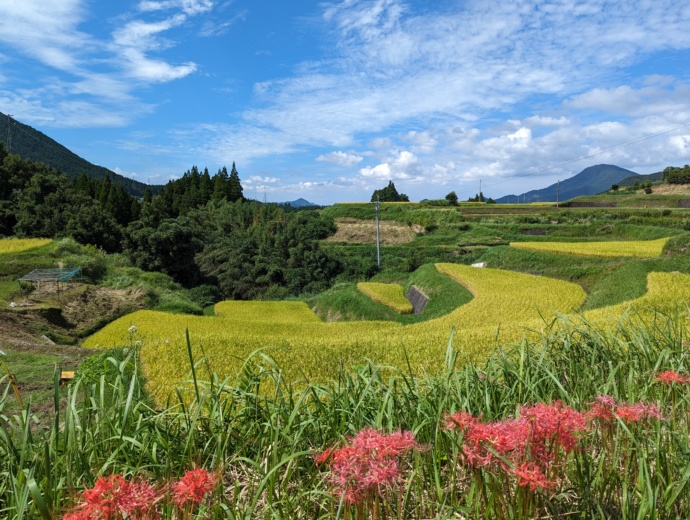 美里町で見られる自然の風景