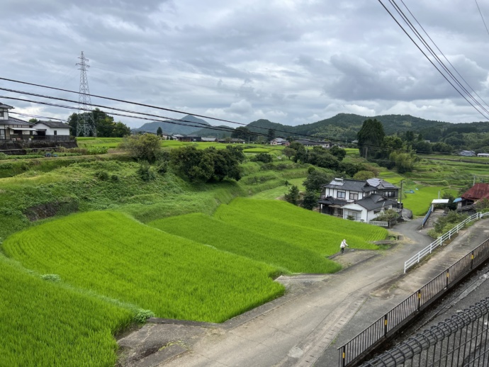 美里町にある安倍の棚田