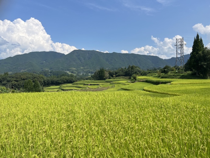 美里町で見られる自然の風景