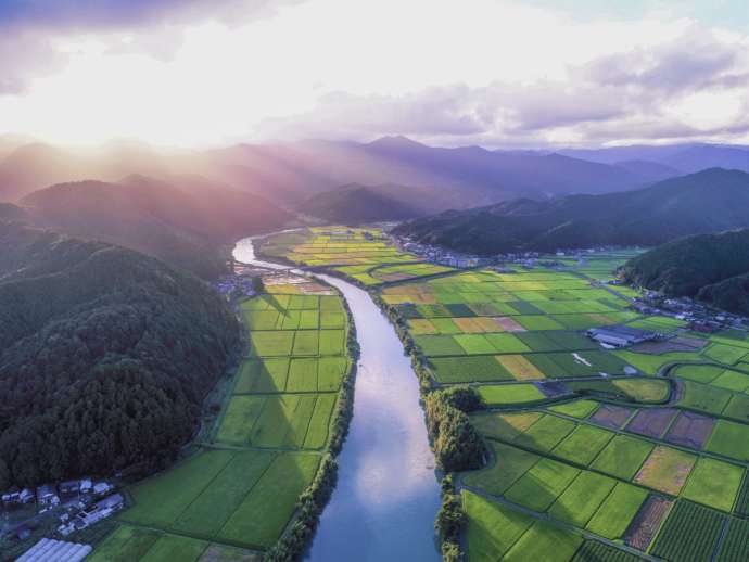 四万十町の田園に流れる四万十川