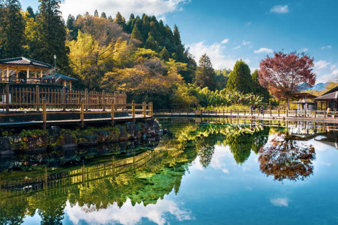 丸池湧水にうつる周辺の景色