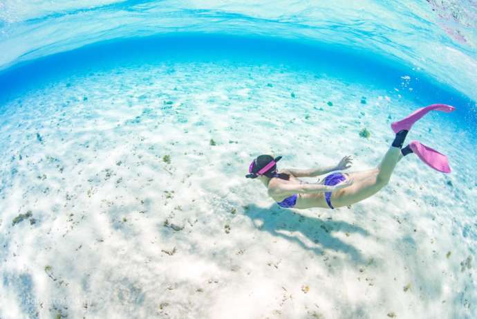 素潜りで海中を探索する女性