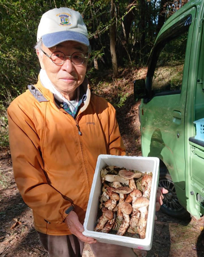 豊丘村のまつたけ収穫の様子