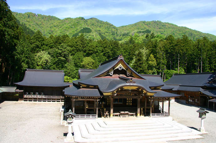 新潟県西蒲原郡弥彦村にある「越後一宮 彌彦神社」の拝殿