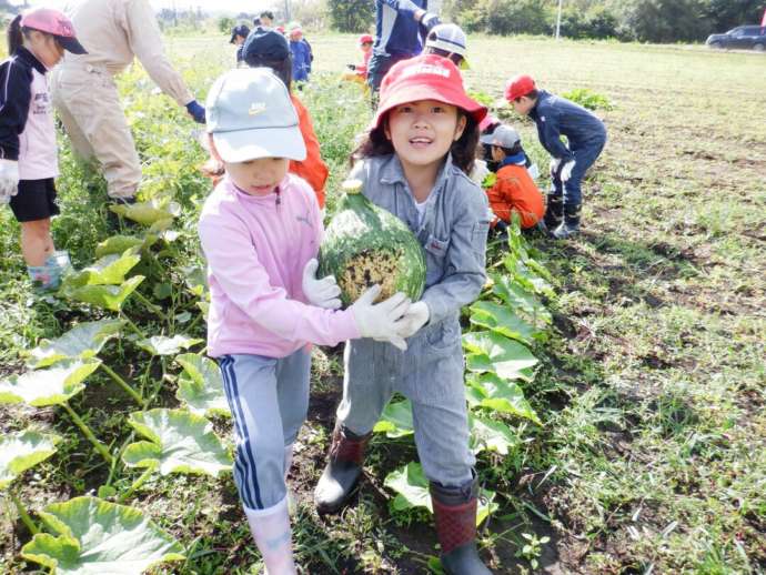 津別町の「アソビバ！つべつ」での農業体験をする子どもたち