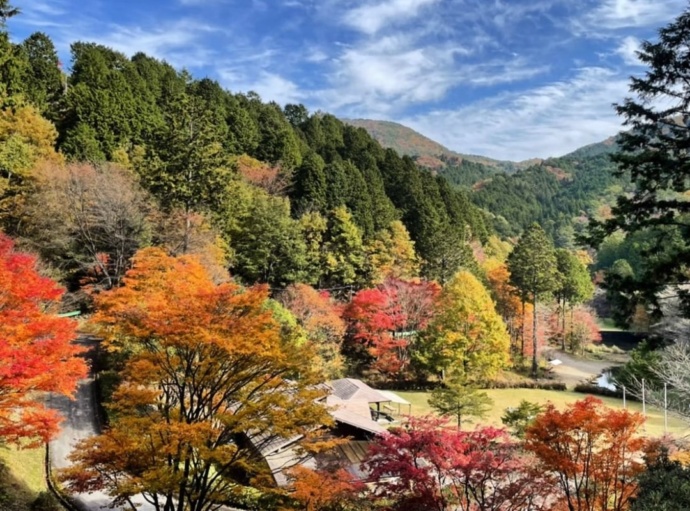 「道の駅 つぐ高原グリーンパーク」の敷地内で秋に色付く紅葉