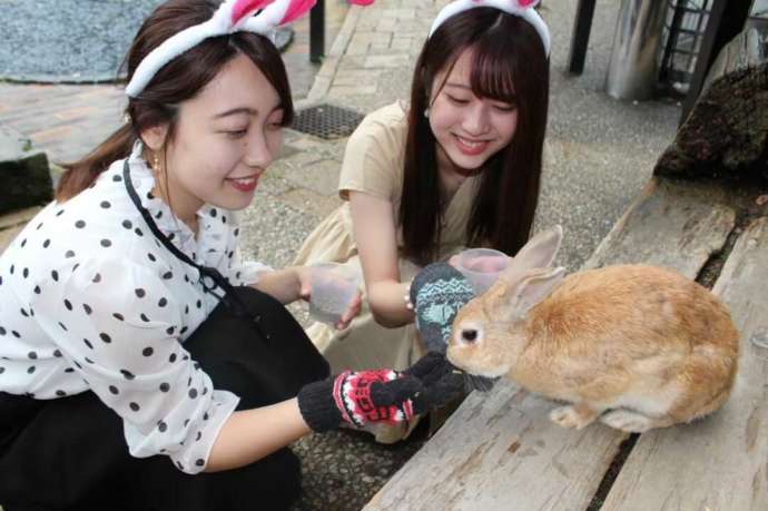 月うさぎの里でうさぎと触れ合う女性たち