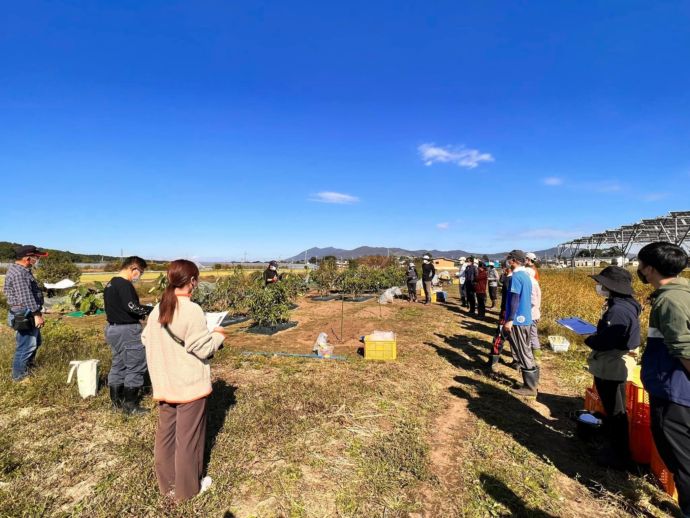 つくば市栄地区のふるさと菜園s（サイエンス）の様子