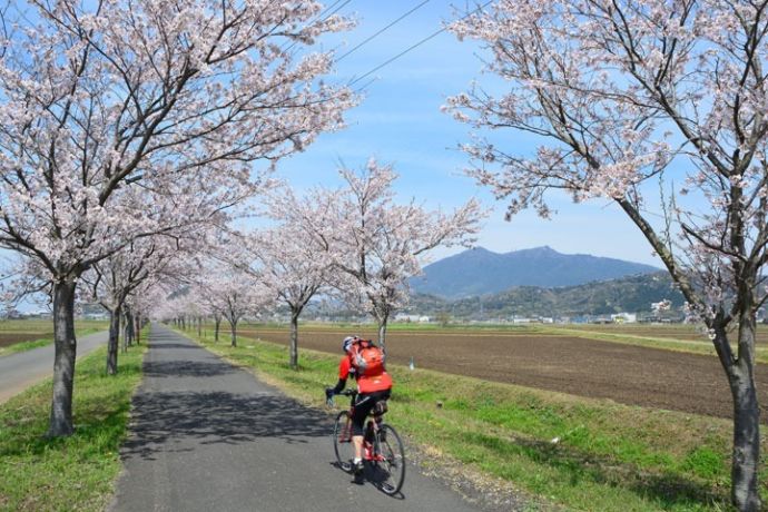 つくば市の「つくば霞ヶ浦りんりんロード」