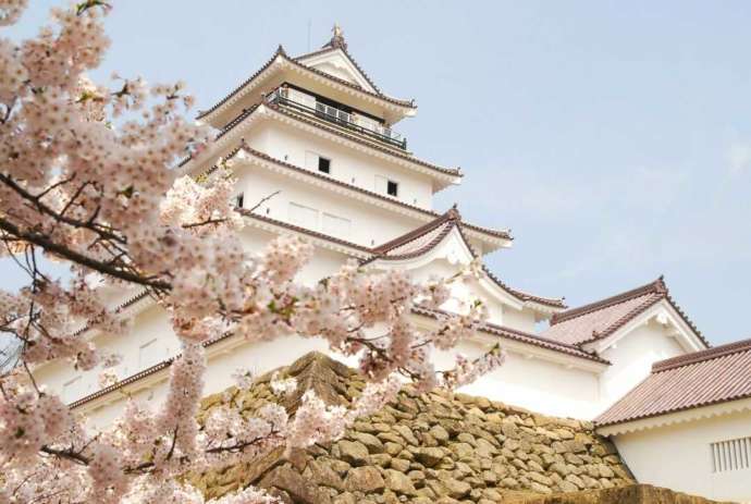 福島県会津若松市にある鶴ヶ城の桜