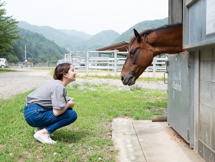 目保呂ダム馬事公園の対州馬を眺める女性