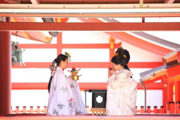 津島神社の神前式で三三九度をする新郎新婦