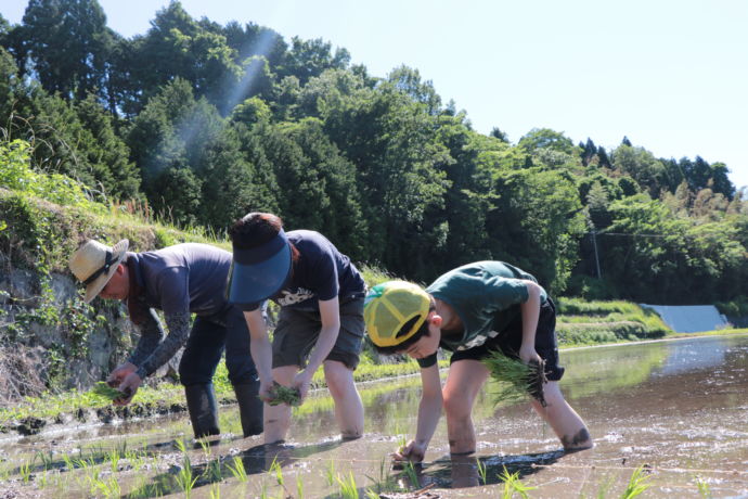 津山市での田植えを楽しむ親子