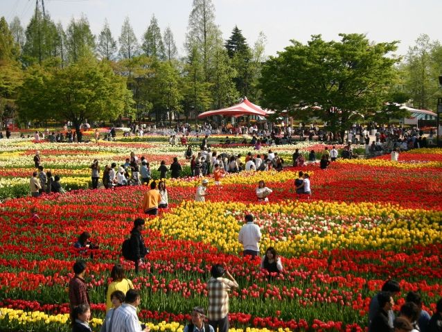 砺波チューリップ公園