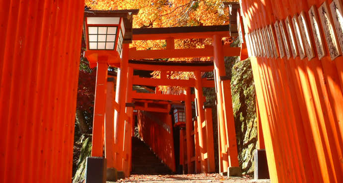 津和野町にある太皷谷稲成神社の朱色の鳥居