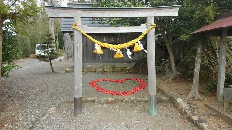 初生衣神社で4月に見られる椿のハート