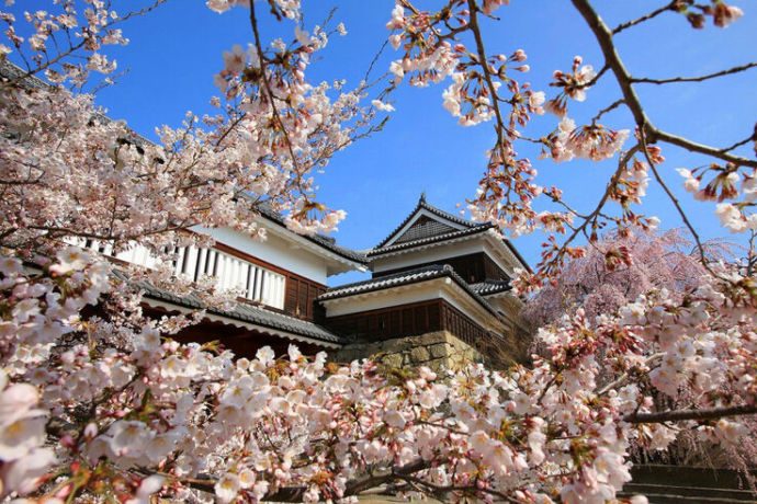 上田城址公園