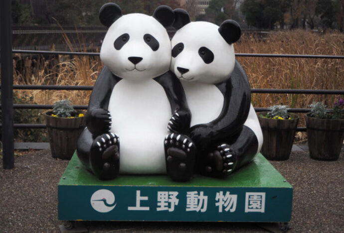 上野動物園のデートプラン