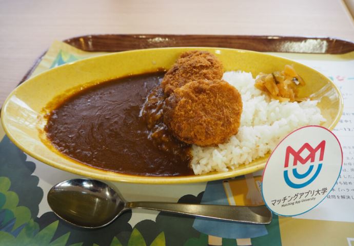 ヒレカツカレー