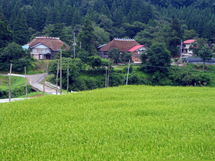 羽後町の茅葺民家