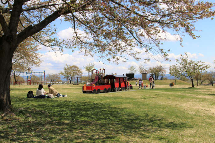 アルカディア公園の広場