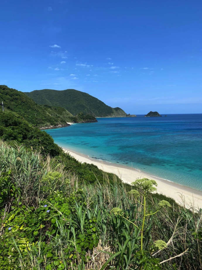 宇検村に広がる海