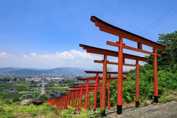 山沿いに連なる、浮羽稲荷神社の赤い鳥居