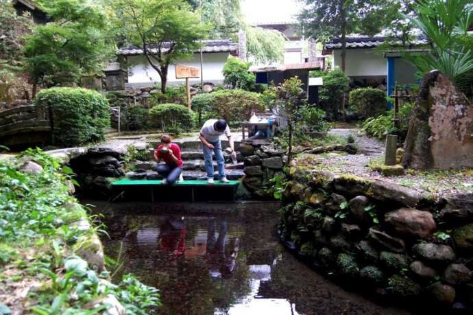 清水寺の境内に湧く地下水