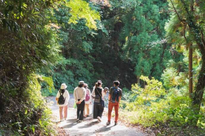 うきは市森林セラピーで山道を歩く参加者たち