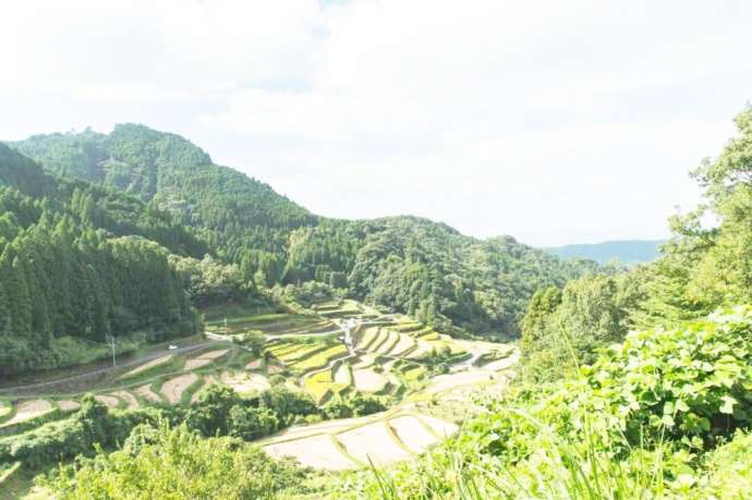 うきは市森林セラピーでつづら棚田を一望できるヤッホー広場から見た景色