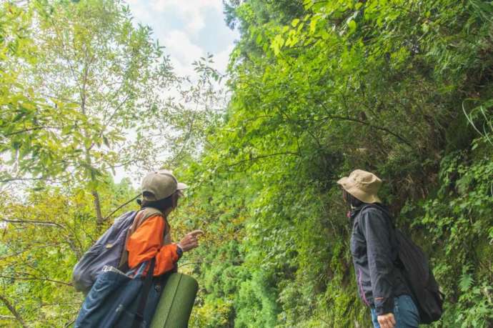 うきは市森林セラピーで山登りに適した服装で参加する人々