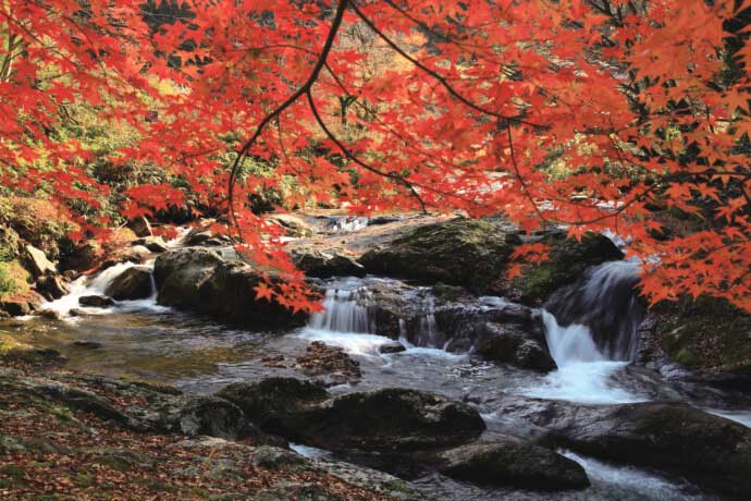 雲南市の「八重滝」