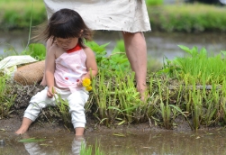 雲南市の子どもの外遊びの様子